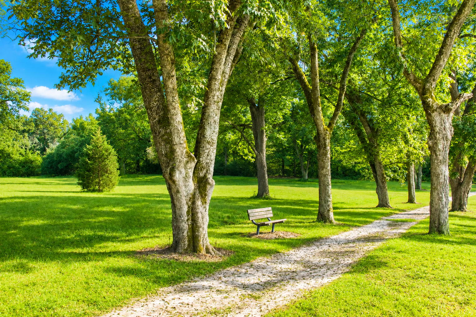 phillips memorial park cameron nc